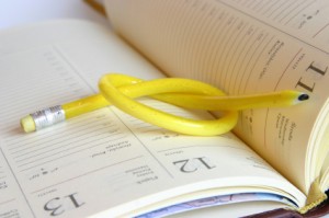 Project Schedules, Hamster Wheels, and Your Team's Hidden Superpower
