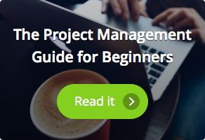 What is the Difference Between Project and Portfolio Management?