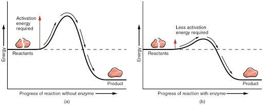 formule-chimique-pour-lancements-de-projets-reussis formule-chimique-pour-lancements-de-projets-reussis
