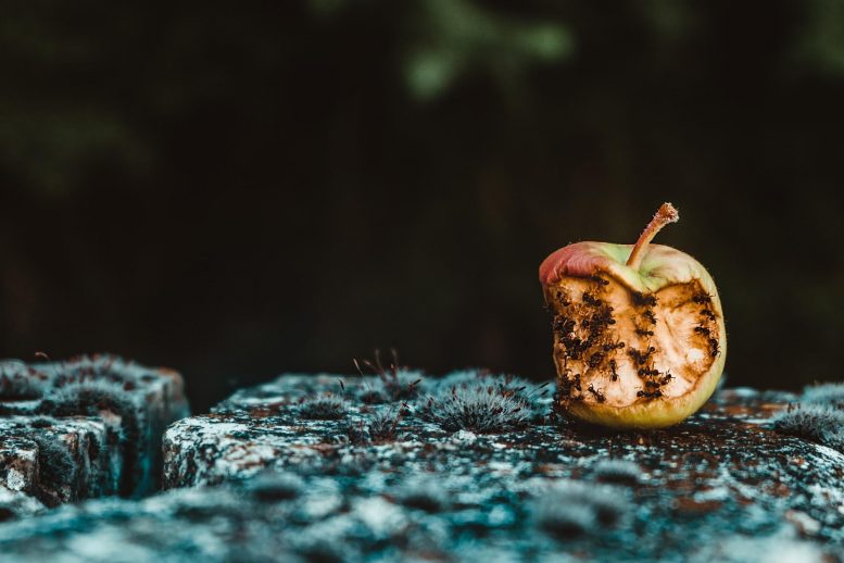 Uncovering The Hidden Costs of Unengaged Employees 2