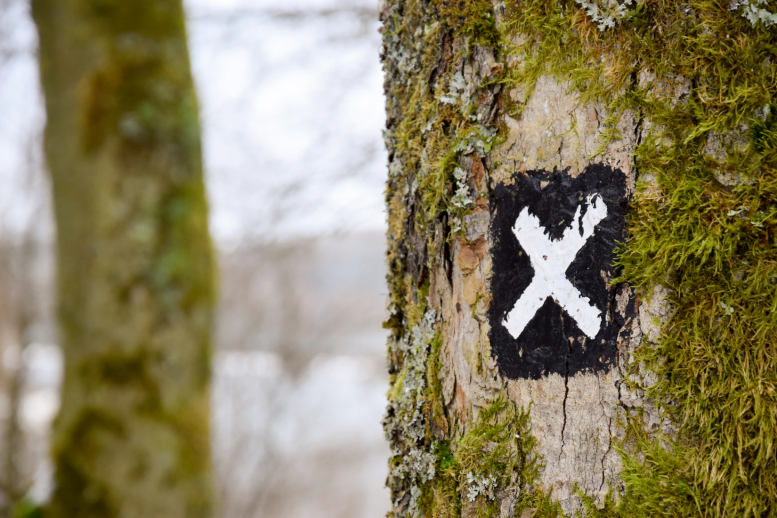 10 Examples of Highly Effective Niche Marketing Strategies 2